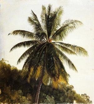 Frederic Edwin Church - Palm Trees, West Indies