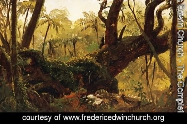 Frederic Edwin Church - Rain Forest, Jamaica, West Indies