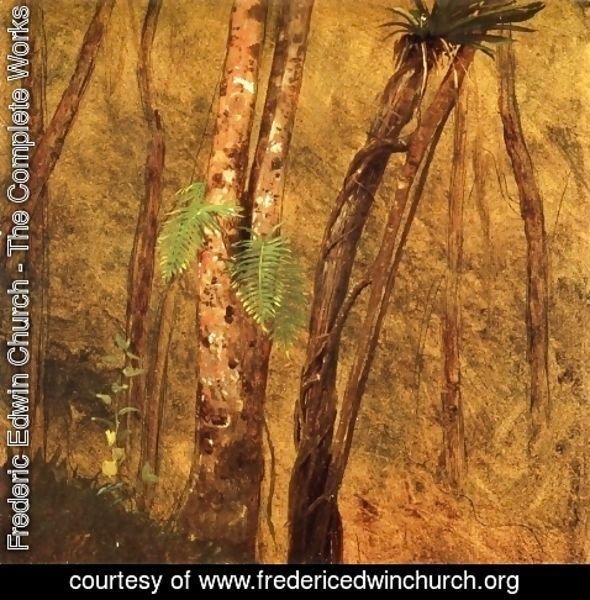 Frederic Edwin Church - Plant Study, Jamaica, West Indies