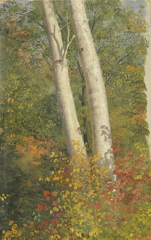 Frederic Edwin Church - Birch Trees in Autumn